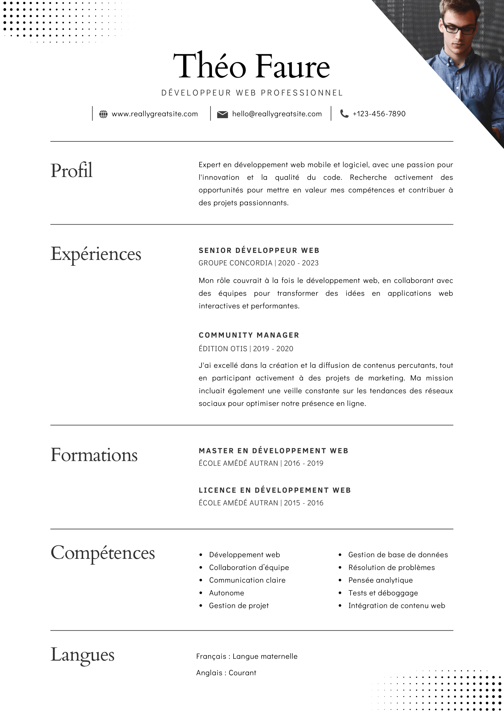 Web Developer Professional